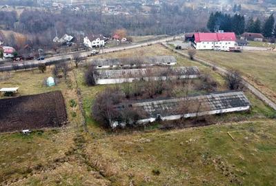 Teren de 8574 mp, în Căpățânenii Pământeni - 6