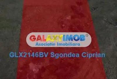 Teren Intravilan Sohodol 5 km Bran 10000 Mp - 5