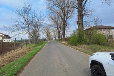 Sinesti-Livedea vanzare teren intravilan - 3