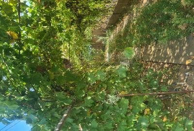 Casă cu 3 camere în Drănic - 1