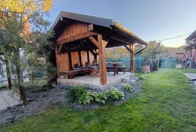 Casa cu 3 camere,baie, bucatarie,anexe.pivni?a teren 800 m - 11