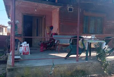 Casă cu 2 camere cu Teren 1180 Mp în Săvârșin - 3