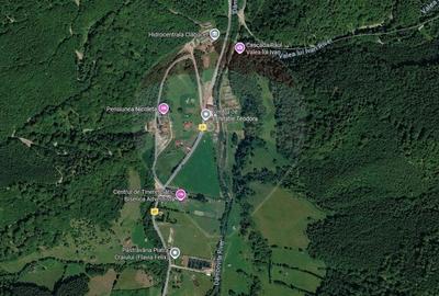 Teren Construcții intravilan de 10000 mp, în Sătic - 9