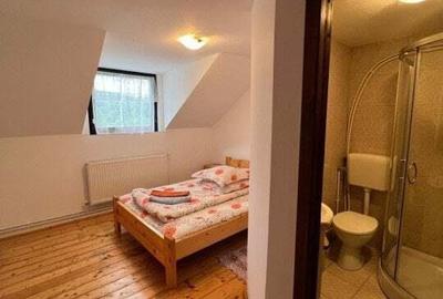 Cabana de 210mp, 2600 mp teren, in Rachitele - 5