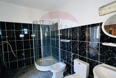 Casă cu 4 camere cu Teren 1367 Mp în Sântandrei - 10