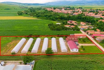 Casă cu 4 camere în Oiejdea - 2