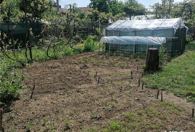 Casă cu 2 camere cu Teren 700 Mp în Câmpina - 4