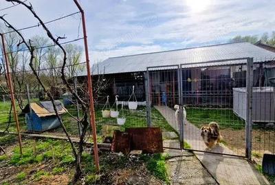 Casa P+M cu 1500 mp teren intravilan in Valea Mare - 10