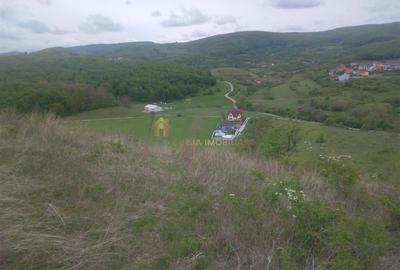 Teren extravilan 3640 mp Strada Stejarului - 2