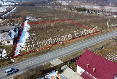 Teren de vanzare in comuna Mu?ate?ti, jude? Arge?. - 12