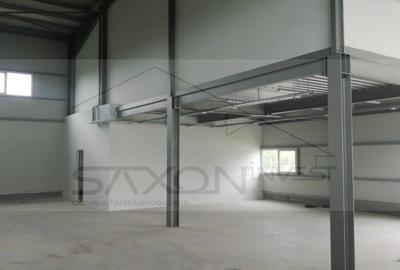 Hala depozitare sau productie   Drumul intre Tarlale,  600MP - 10