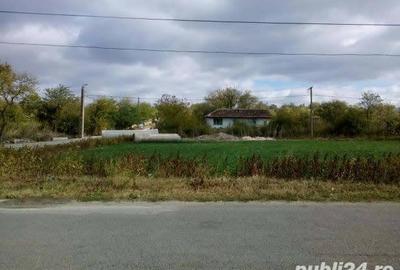 Casă cu 3 camere cu Teren 1000 Mp în Central - 4