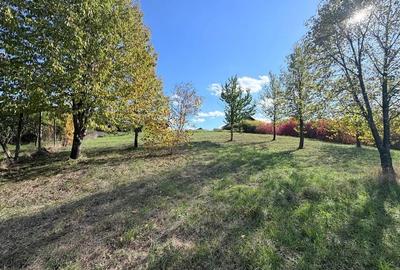 Teren Construcții intravilan de 1144 mp, în Sânmartin - 1