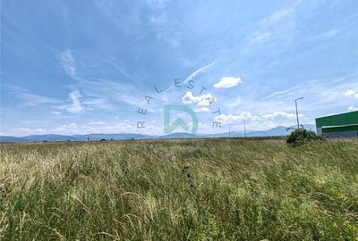 Teren Construcții intravilan de 7700 mp, în Prejmer - 1