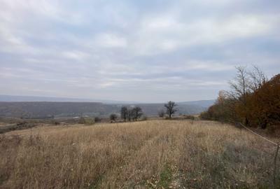 Teren de 121028 mp, în Bălțești - 2