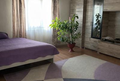 Casă cu 2 camere în Mureșeni - 10