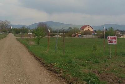 Teren agricol intravilan de 47700 mp, în Dobolii de Jos - 1