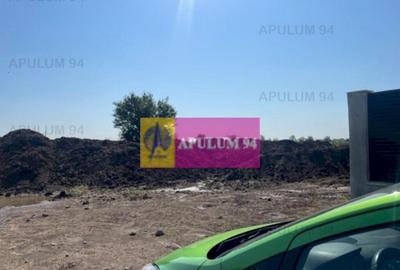 Teren Domnesti- Ciutaci- Foisorului. - 1