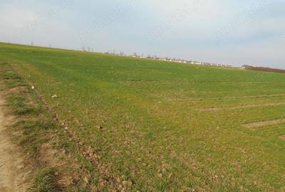 Teren de 12113 mp, în Vidra - 4