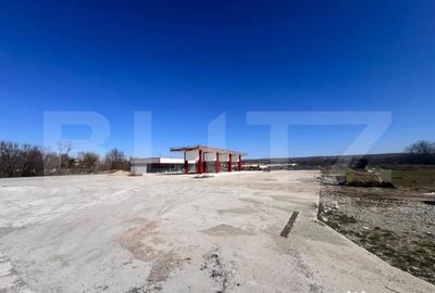 Teren de 12500 mp, în Ișalnița - 5