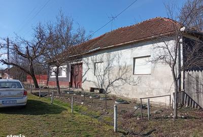 Casă cu 4 camere cu Teren 1400 Mp în Bârsa - 4