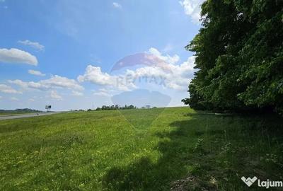 Teren de 7000 mp, în Ilișești - 11