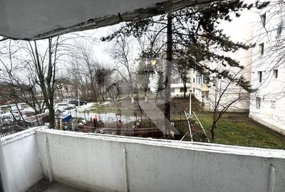 De inchiriat apartament 2 camere, Nord, Judetean, Cameliei - 11