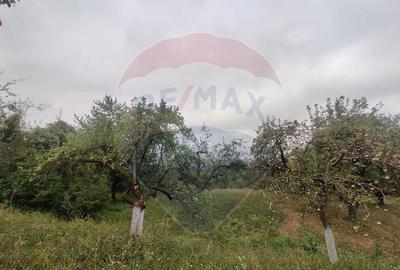 Teren de vanzare extravilan Ocolis - 3