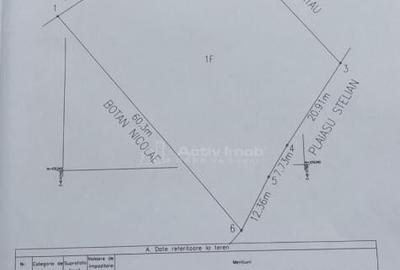 Teren extravilan 10000 mp, com Panatau - 9