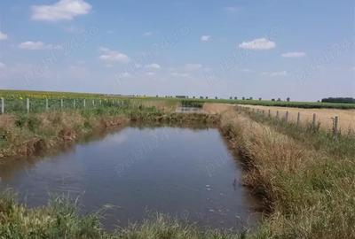 Casă cu 2 camere în Băilești - 2