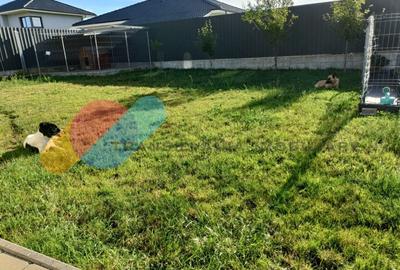 Casă individuală cu 4 camere cu Canalizare în Jucu de Sus - 12