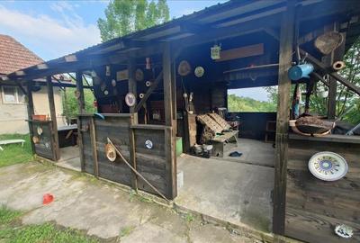 Casa cu teren si padure la tara - 4