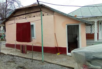 Casă în Cudalbi - 4