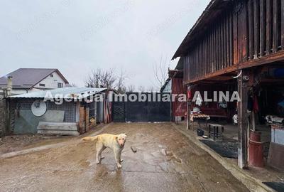 Casa 4 camere, P+Mansarda si teren 1431 mp, FS 14m, in Satul Harau, Jud. Hd. Casa 4 camere, P+Mansarda si teren 1431 mp, FS 14m, in Satul Harau, Jud. Hd. - 5