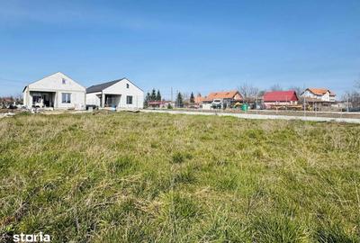 Casă cu 4 camere cu Teren 720 Mp în Borș - 1