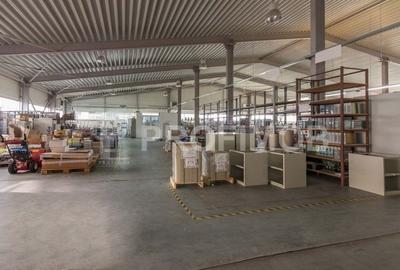 Vanzare hala de depozitare + birouri P+1 Otopeni - 5