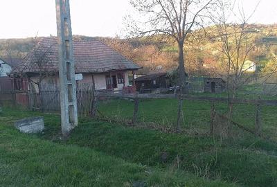 Casă cu 2 camere cu Teren 1568 Mp în Central - 4