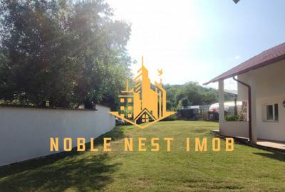 Casa spa?ioasa Mice?ti, Arge?, teren generos 2.500 - 14