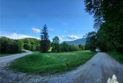 Teren Construcții intravilan de 12000 mp, în Vama Buzăului - 1