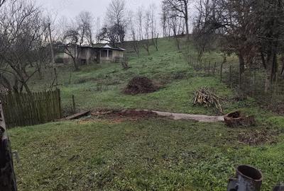 Teren de 3674 mp, în Trestioara