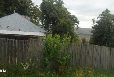 Casă cu 3 camere cu Teren 3487 Mp în Tănăsoaia - 6