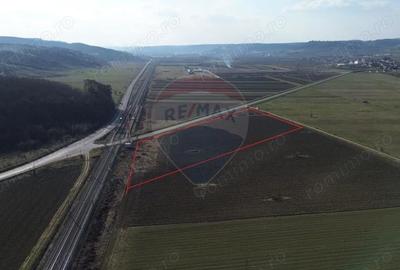 Teren de 19319 mp, în Hoghilag - 8