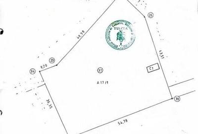 TEREN pentru casa AGIGHIOL 2500mp - 6