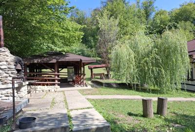 Casă cu 6 camere cu Teren 2267 Mp în Iedera de Sus - 7