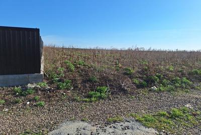 Spațiu comercial, în Central - 5