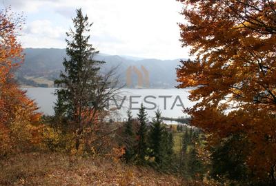 Teren Construcții intravilan de 12588 mp, în Tiha Bârgăului - 5