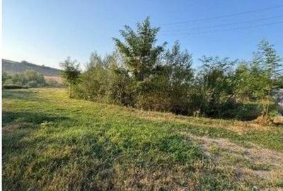 Teren partial intravilan Romani, judetul Neamt, ID: R2326723 - 9