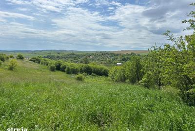 Teren de 4500 mp, în Tureni - 3