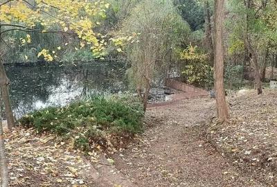 Teren cu Casa BONUS deschidere la Lacul Snagov - 2