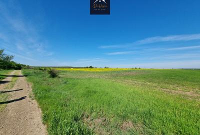 Teren agricol extravilan de 15170 mp, în Domnești - 7